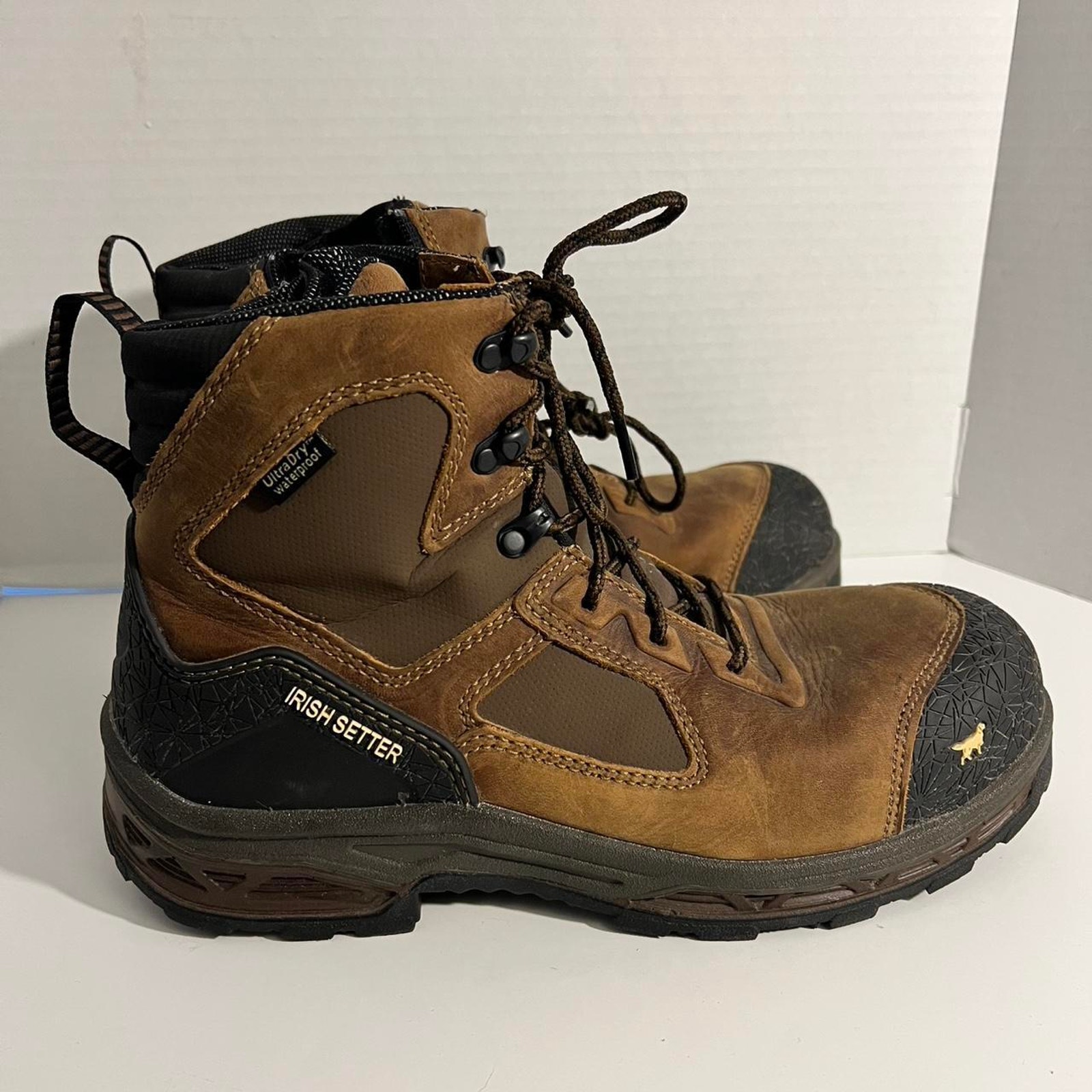 Irish Setter Brown Lace Up